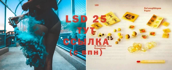бошки Вязьма