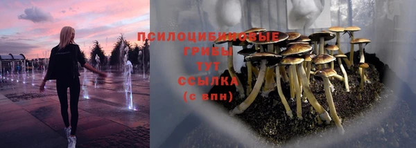 прущая мука Вяземский
