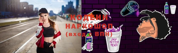 прущая мука Вяземский