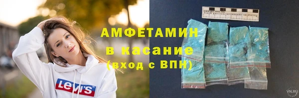 прущая мука Вяземский