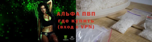 прущая мука Вяземский