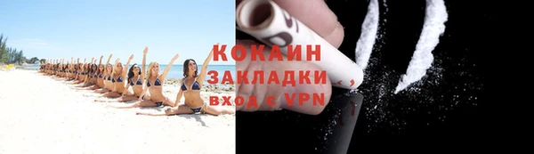 прущая мука Вяземский
