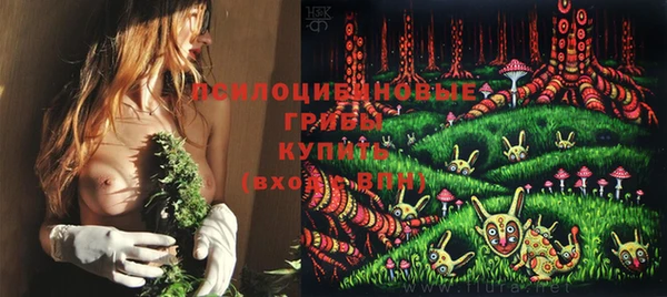 бошки Вязьма