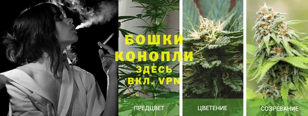 прущая мука Вяземский