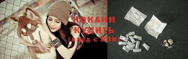 прущая мука Вяземский