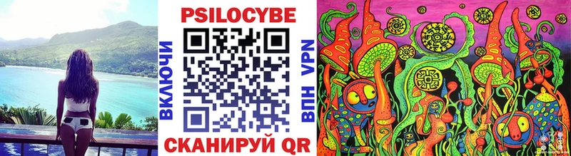 продажа наркотиков  Ноябрьск  Псилоцибиновые грибы Psilocybe 