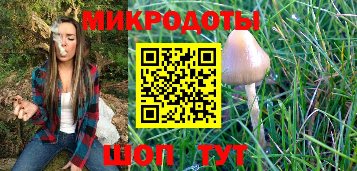 Псилоцибиновые грибы Magic Shrooms  Вход с VPN  Ноябрьск  Псилоцибиновые грибы прущие грибы 